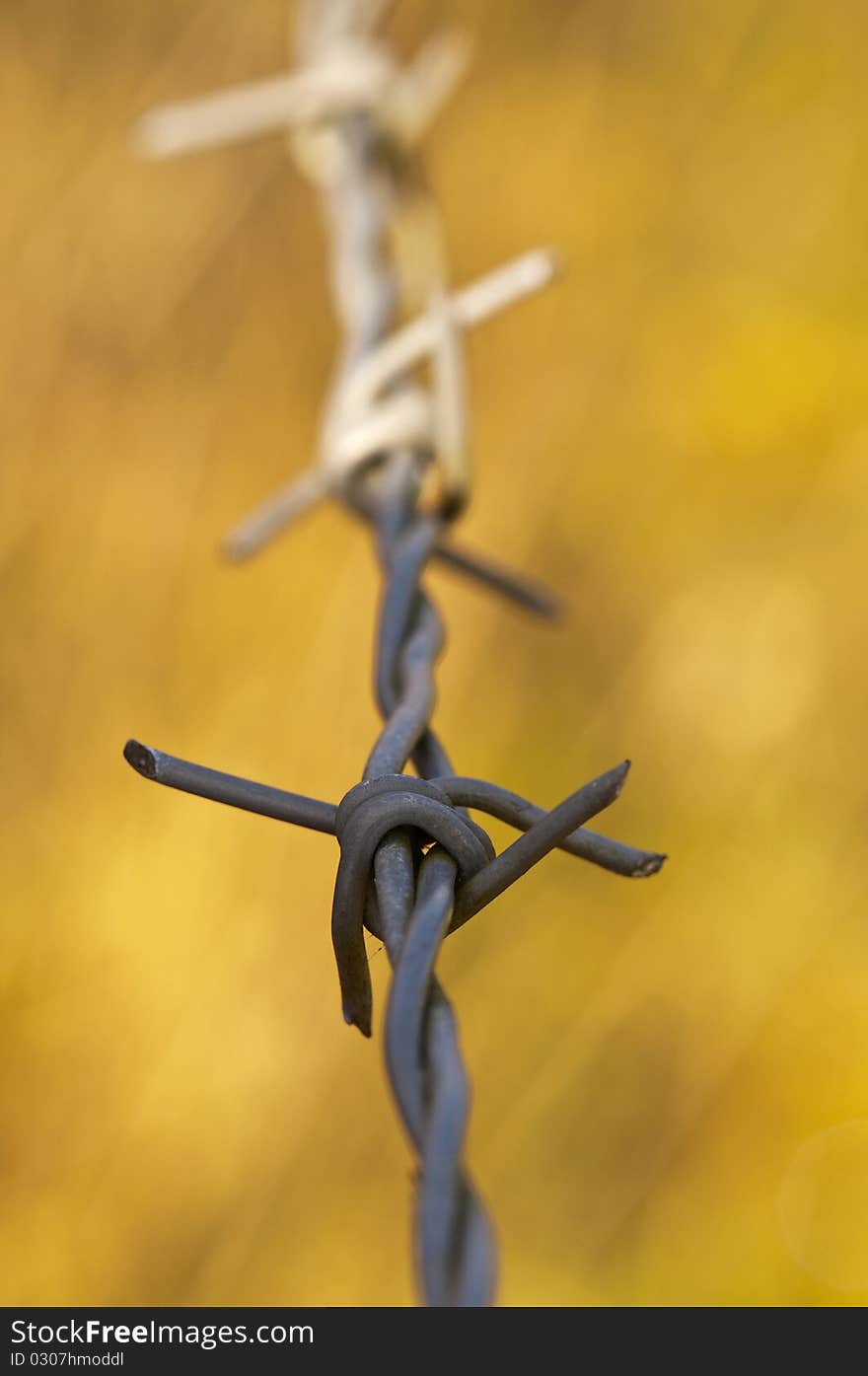 Barbs on the wire keep intruders out. Barbs on the wire keep intruders out