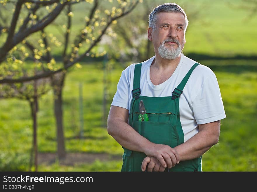 Portrait of a senior man gardening in his garden (color toned image)