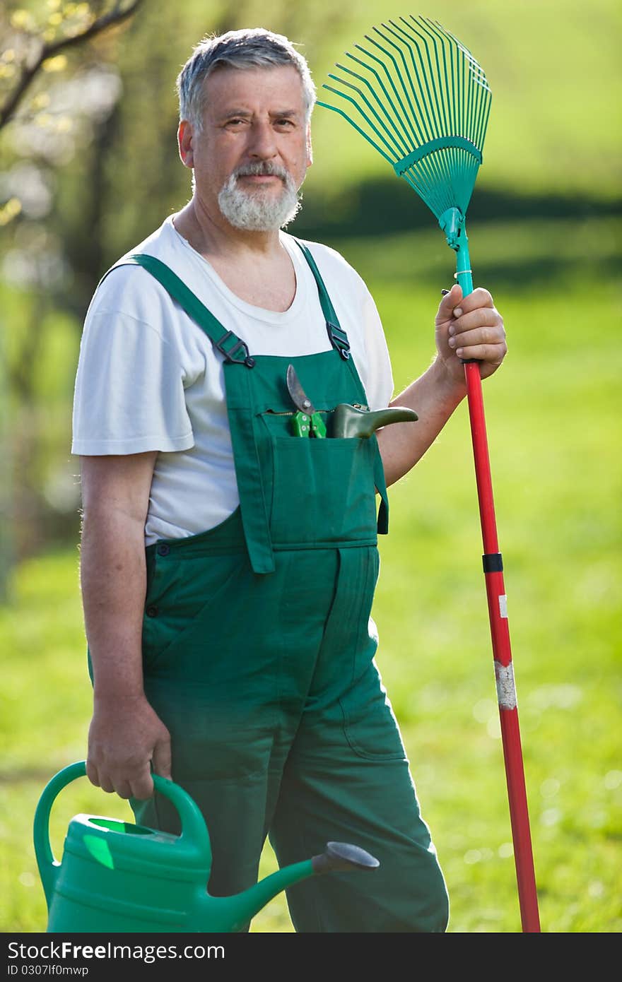 Senior man gardening in his garden