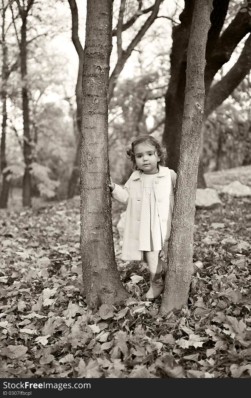 Portrait with little girl in autumn in the park with leaves and trees in the background