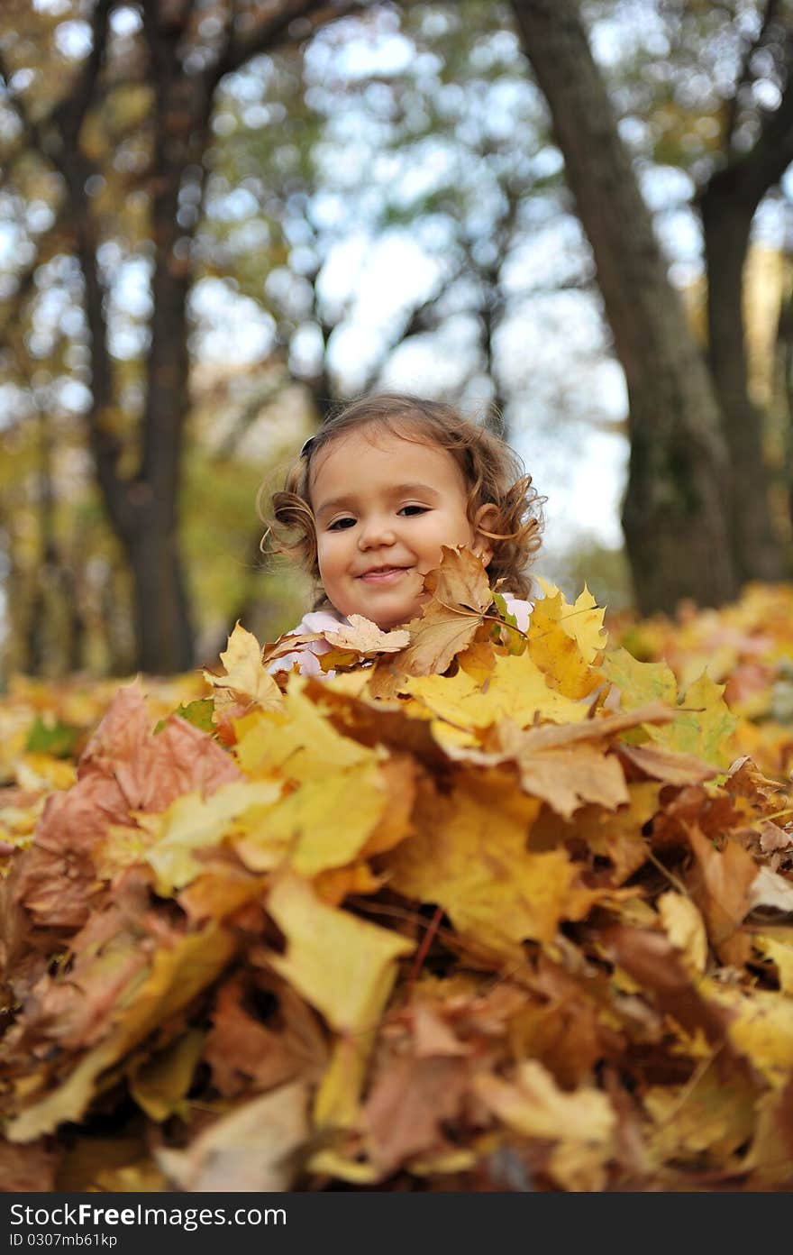 Smiling little girl covered with leaves in the park. Smiling little girl covered with leaves in the park