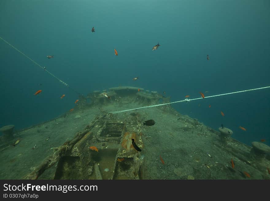 Bow of the Thistlegorm taken un the Red Sea. Bow of the Thistlegorm taken un the Red Sea.