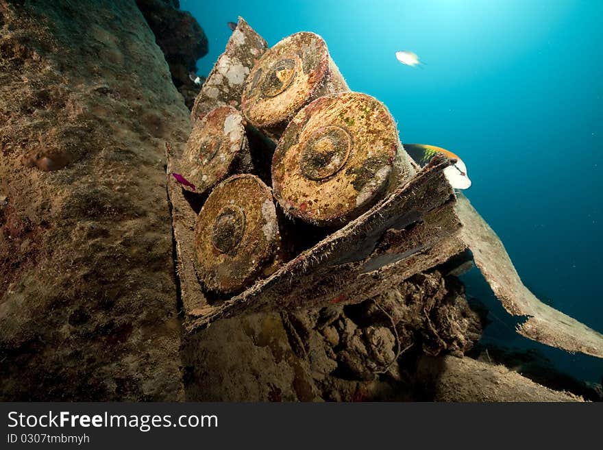 Ammunition around the Thistlegorm.