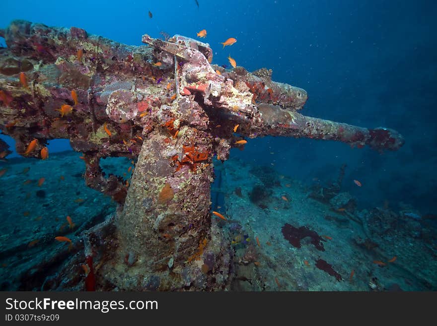 Weapons Of The Thistlegorm Wreck.