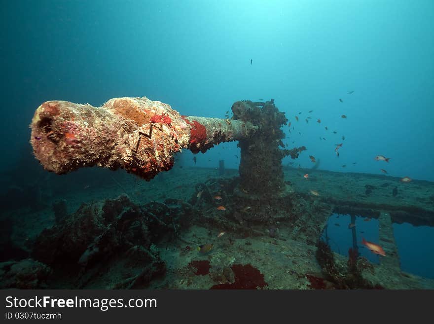 Weapons of the Thistlegorm wreck.