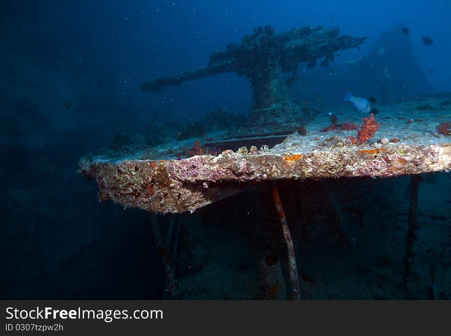 Weapons of the Thistlegorm wreck.