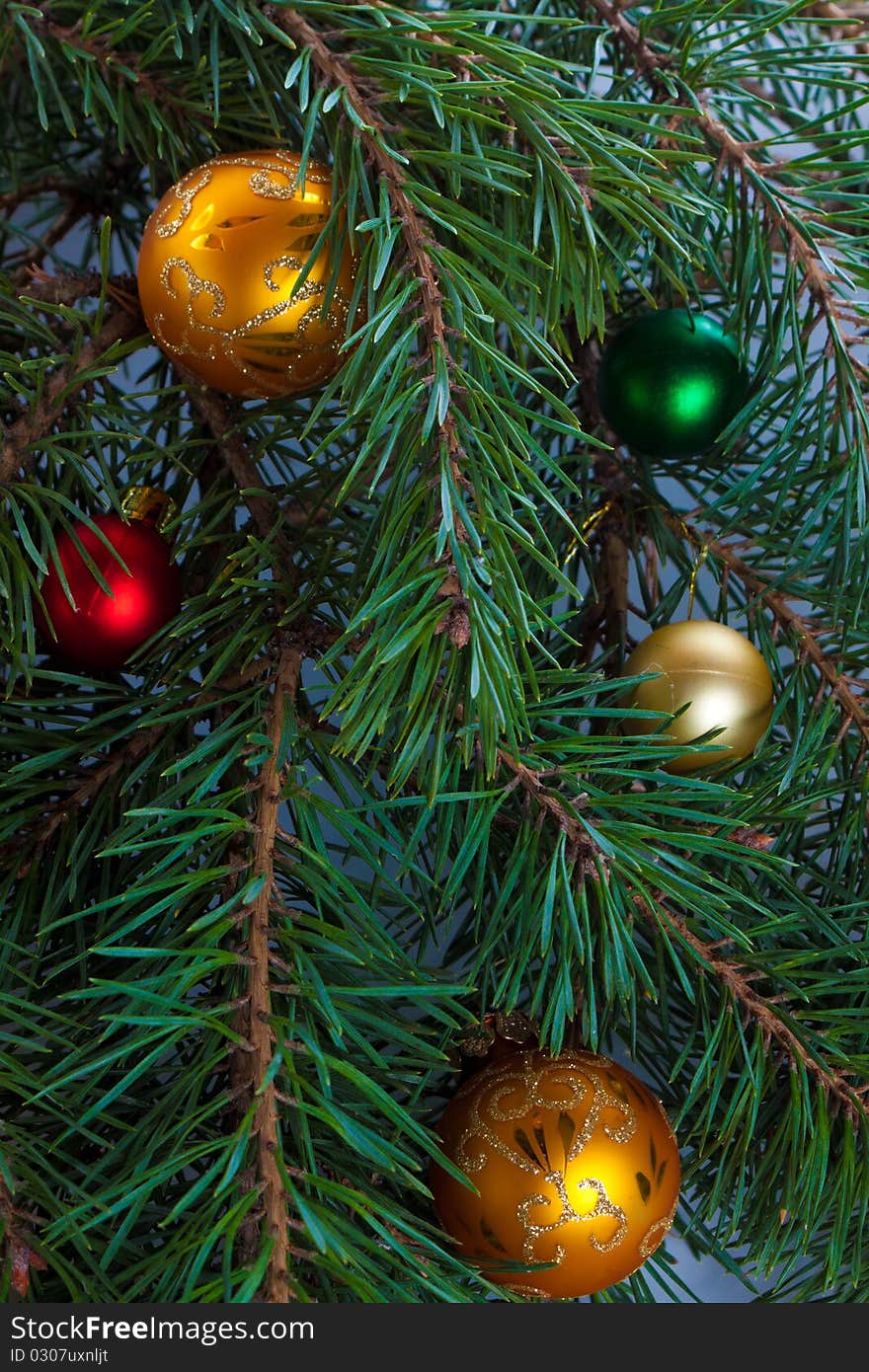 Christmas fir with decoration