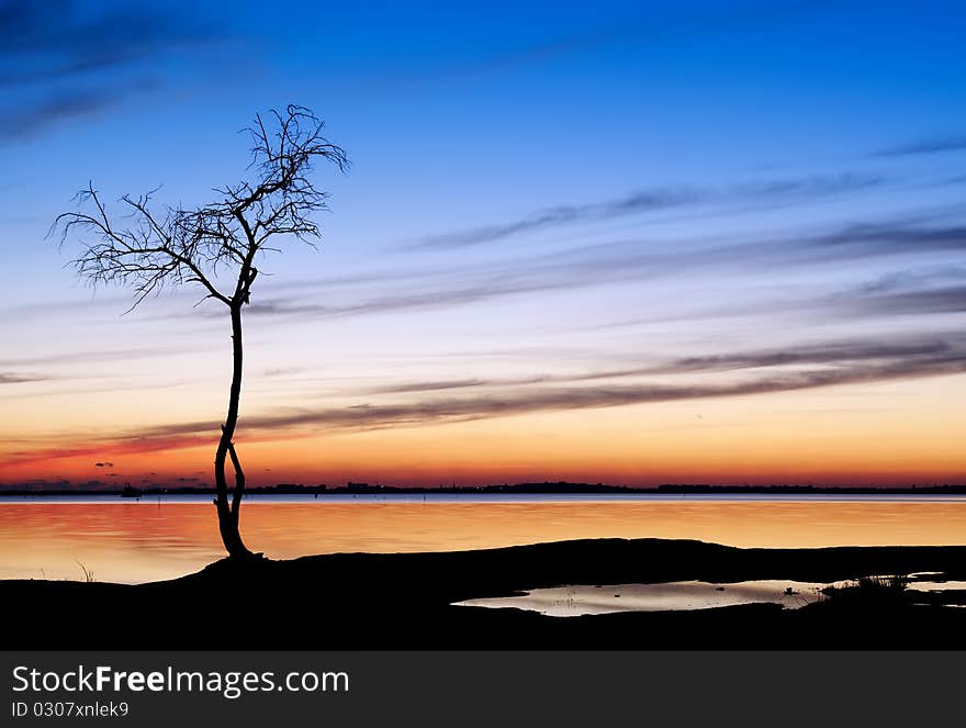 Sunset and a tree by the lake