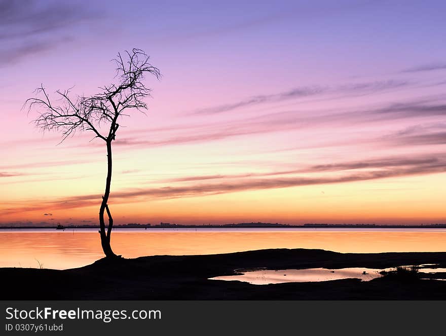 Sunset and a tree by the lake