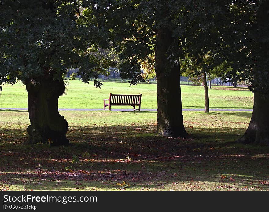 Park landscape.