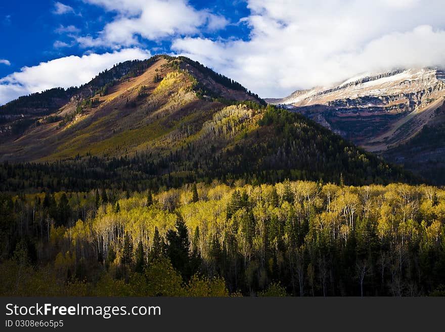 Utah Mountains in the Fall with sunlight striking the tops of the trees