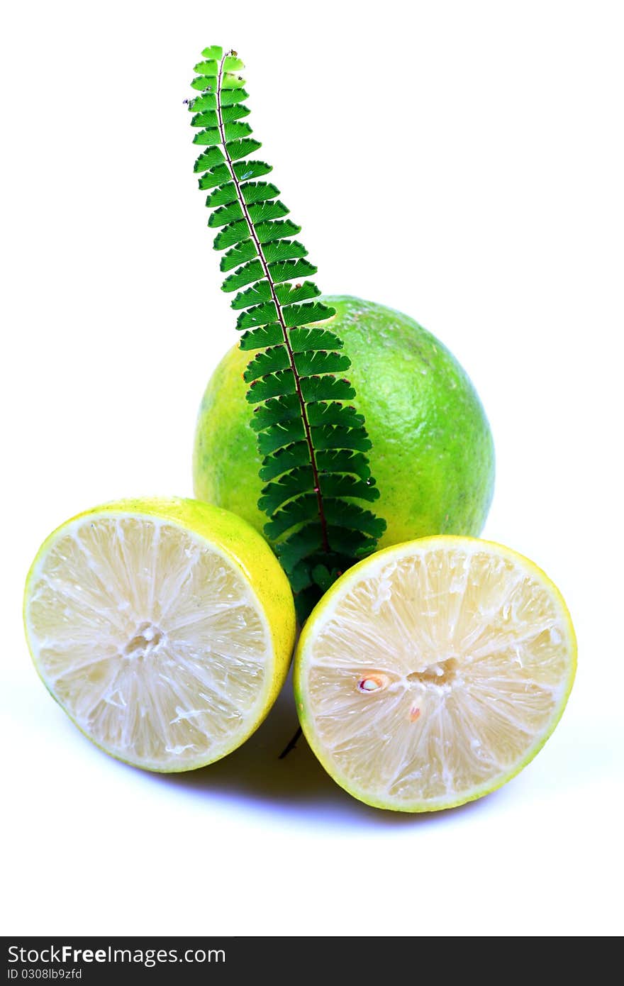 Fresh lemon and lime isolated on white background.