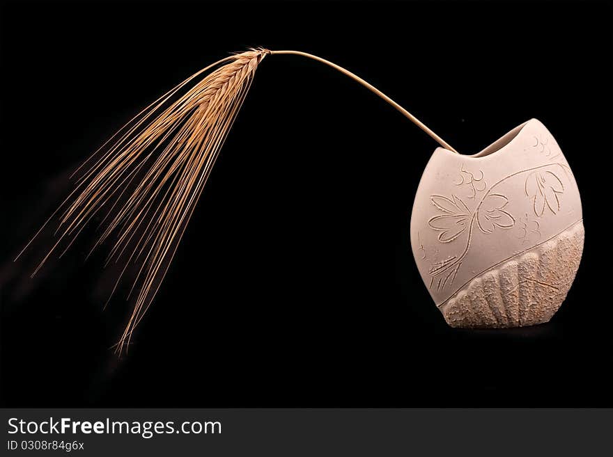 Ears of barley on a black background