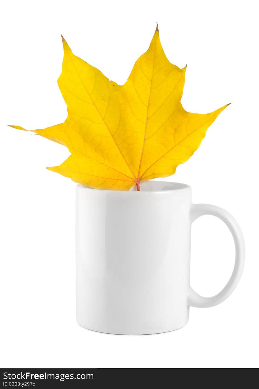 Yellow maple leaf in the cup