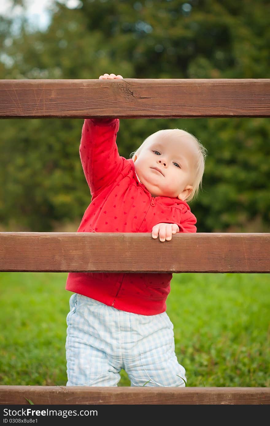 Adorable baby climbing the wood fence