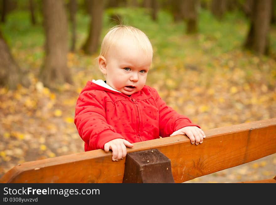 Young cheerful baby stay on wood bench in park forest and look side