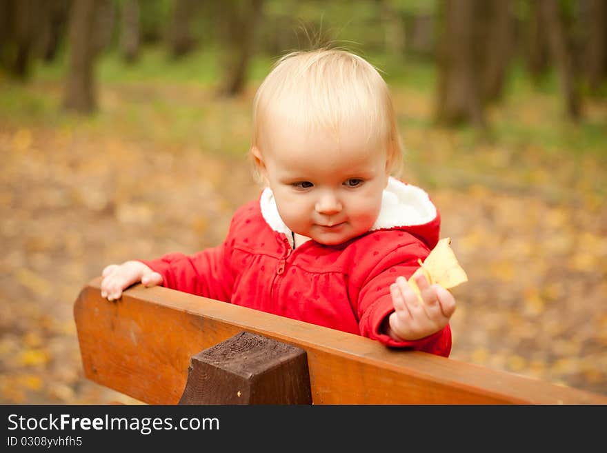 Baby Stay On Wood Bench In Park