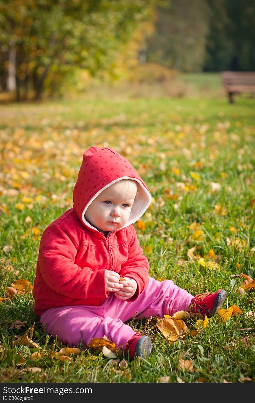 Cute little baby sit on green grass with yellow leafs in park. Cute little baby sit on green grass with yellow leafs in park