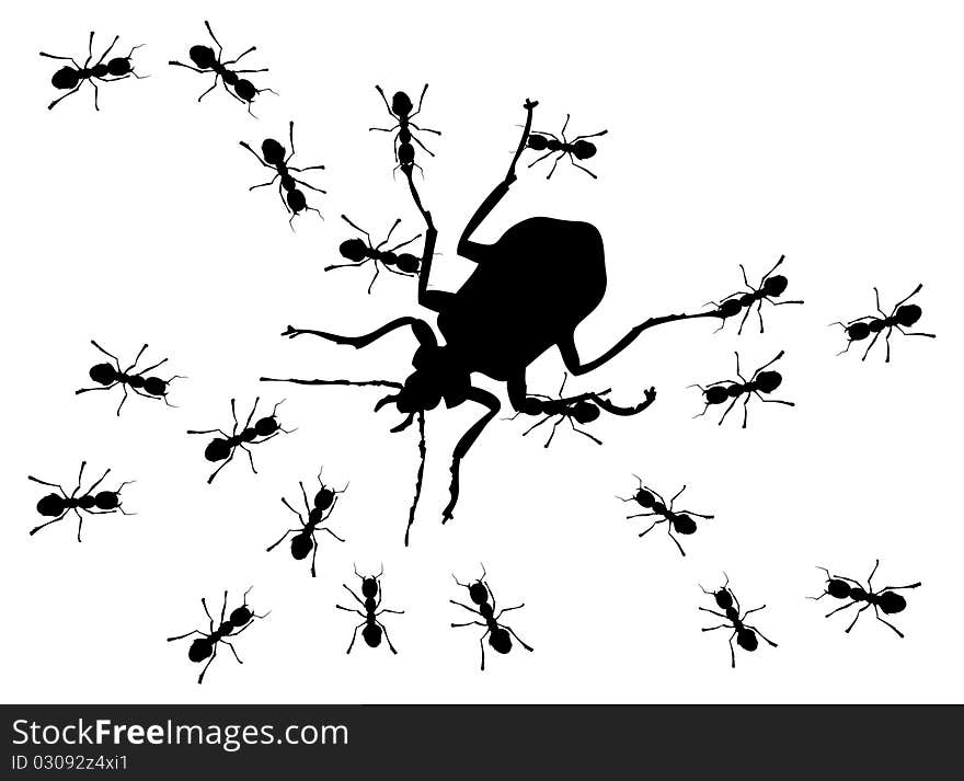 Hunting of ants for the big bug. A illustration