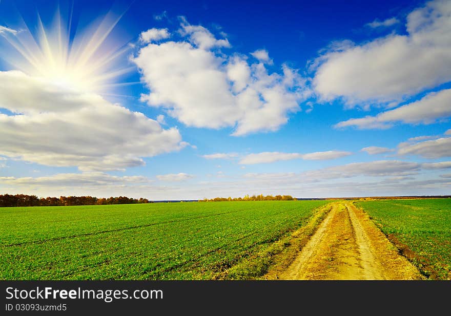 Rural Landscape In Sunny Autumn Day.