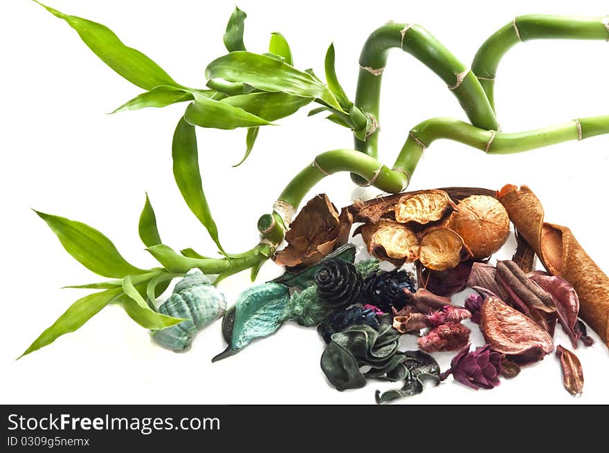 Potpourri, bamboo and shell on white background. Potpourri, bamboo and shell on white background