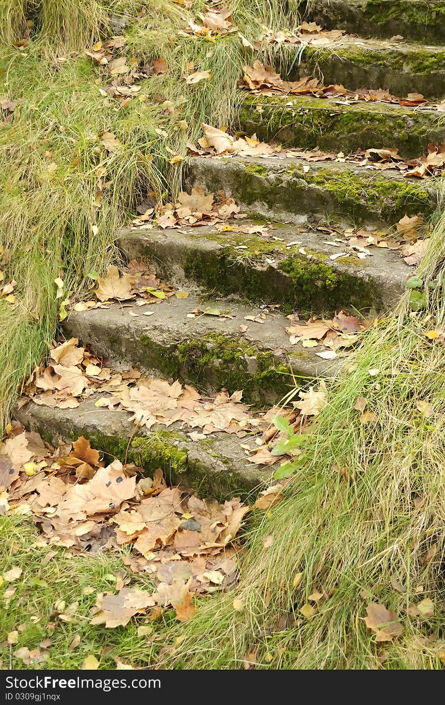 An old moss-covered staircase with fallen maple leaves and dry yellow grass in mid-autumn. An old moss-covered staircase with fallen maple leaves and dry yellow grass in mid-autumn