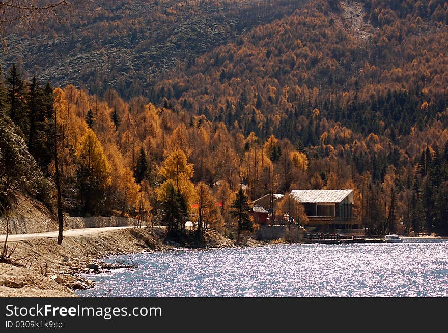 Autumn view of lake in Mugecuo, KangDing Sichuan, China. Autumn view of lake in Mugecuo, KangDing Sichuan, China