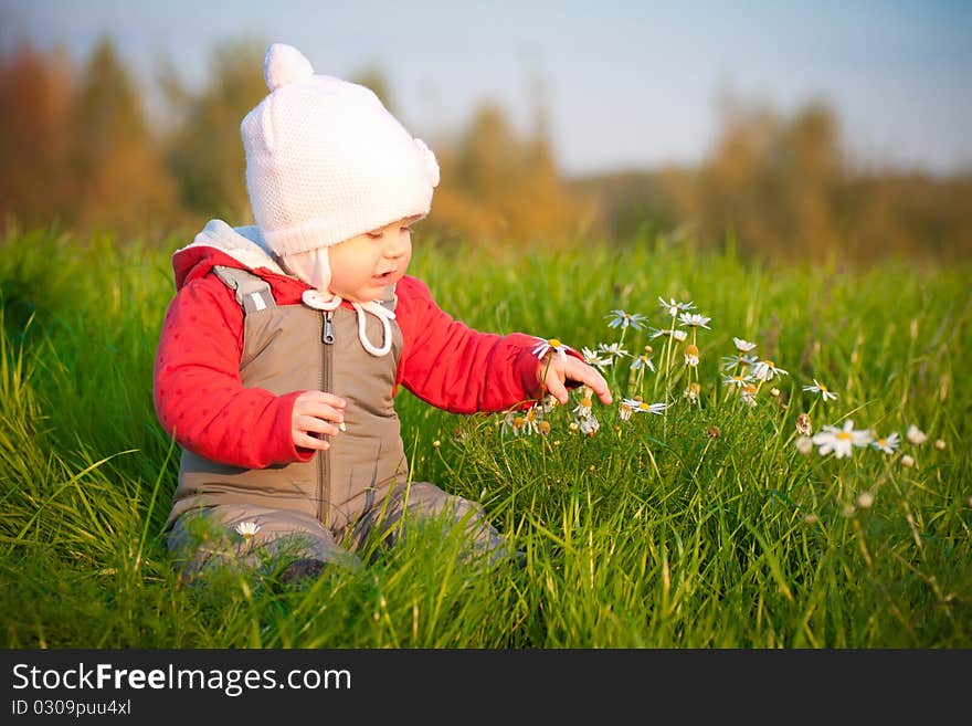 Baby sit on top of hill and touch with flowers