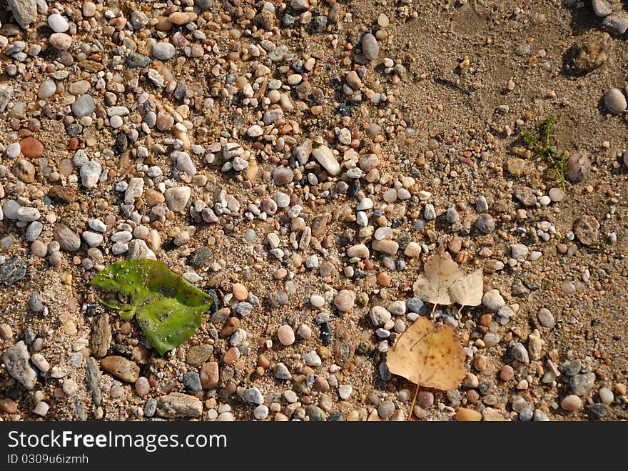 Sand texture