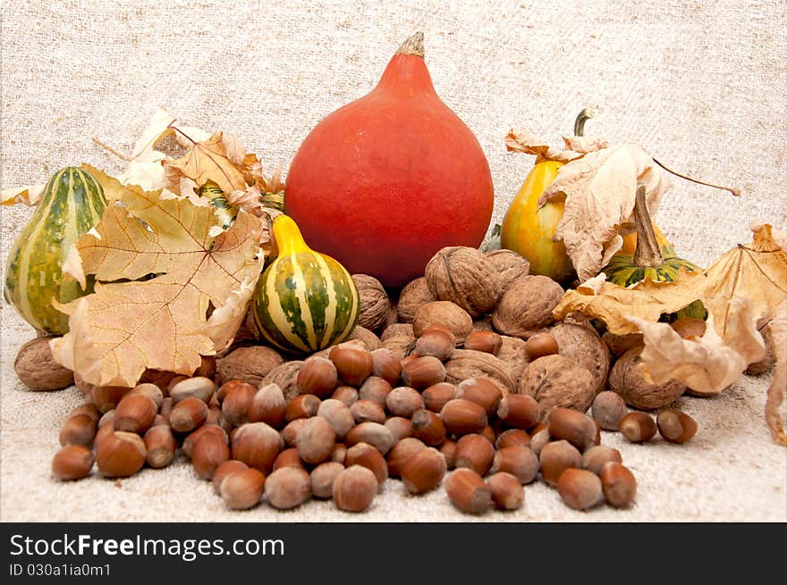 Autumn fruits with yellow leaves