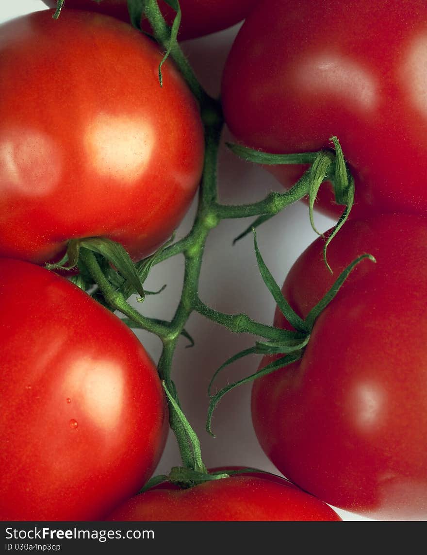 Tomatoes