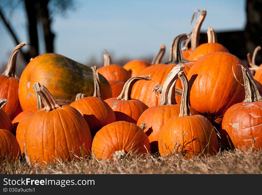 Stack Of Orange Pumpkins