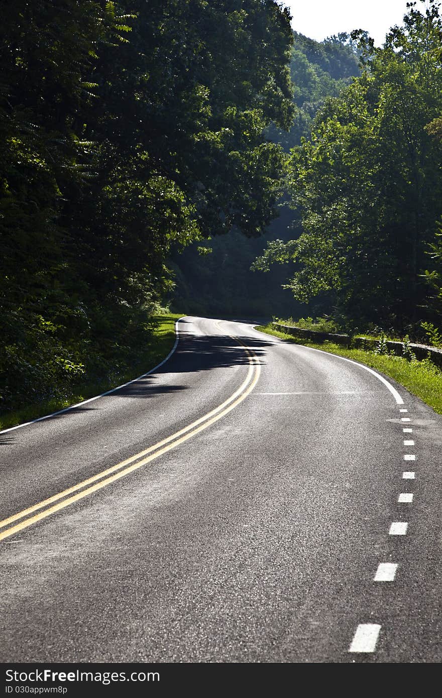 Beautiful scenic country road curves in forest