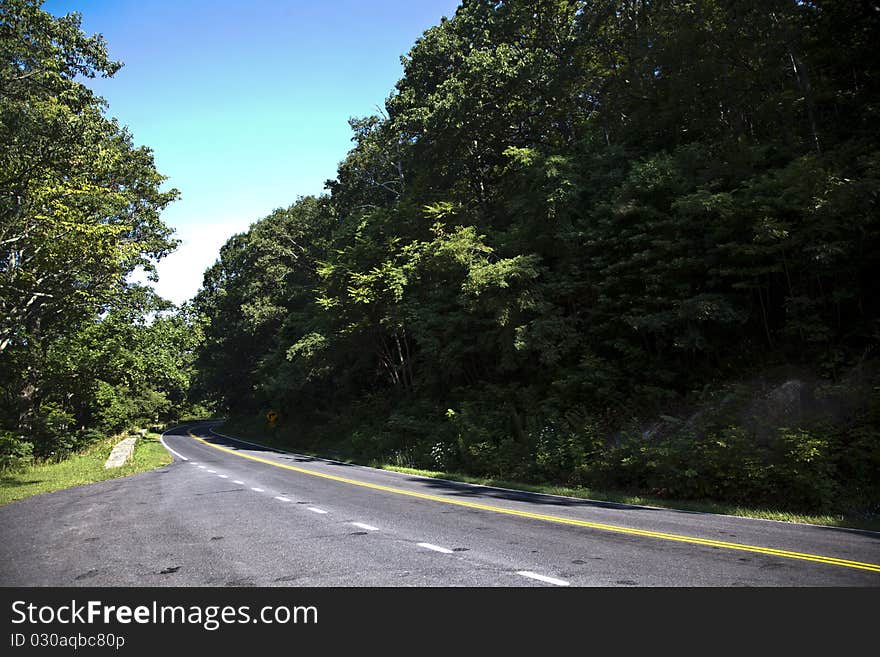 Beautiful scenic country road curves in forest