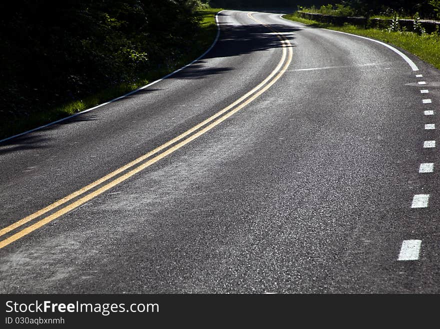 Beautiful scenic country road curves in forest