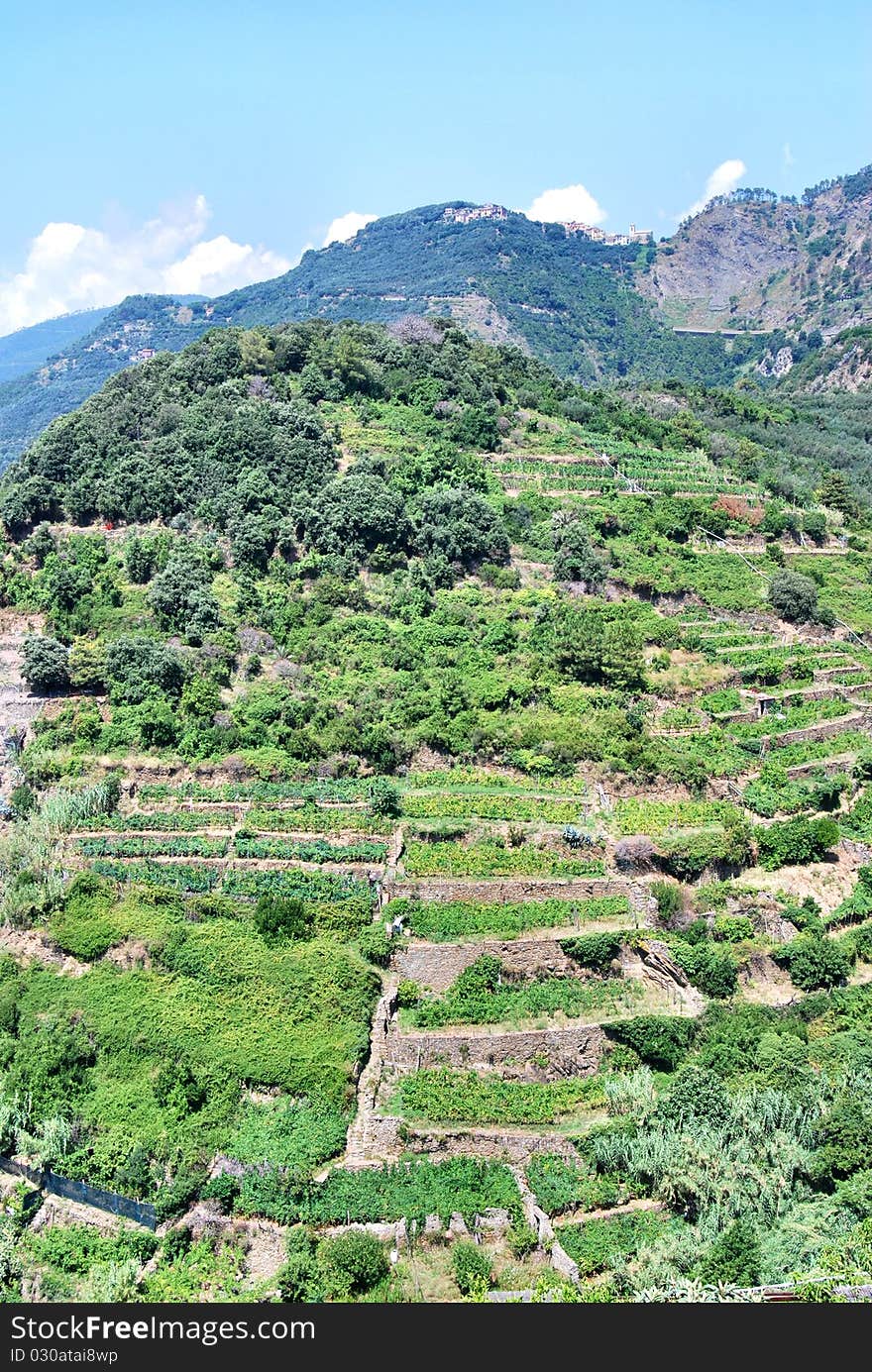 A typical landscape of Liguria, in the north of Italy. A typical landscape of Liguria, in the north of Italy.