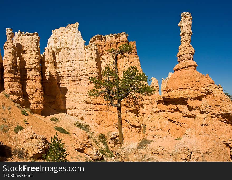 Near the top of the ridge where some unique Hoodoos stand tall. Near the top of the ridge where some unique Hoodoos stand tall