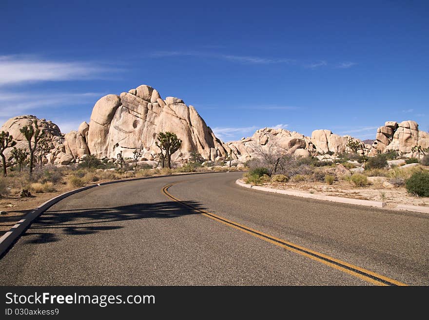 Joshua Tree National Park