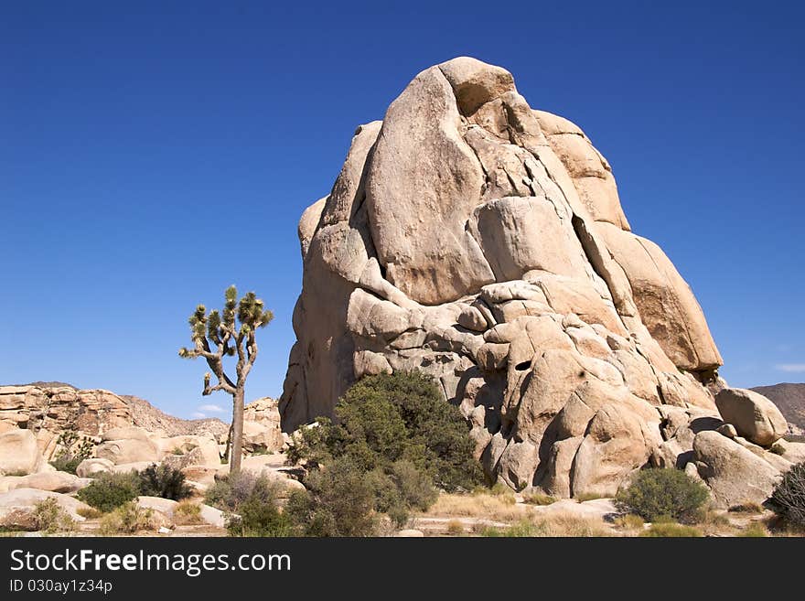 Joshua Tree National Park