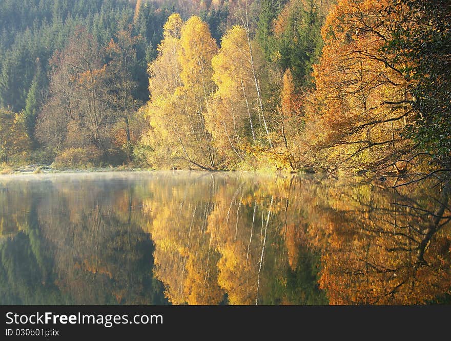 Autumn Reflection