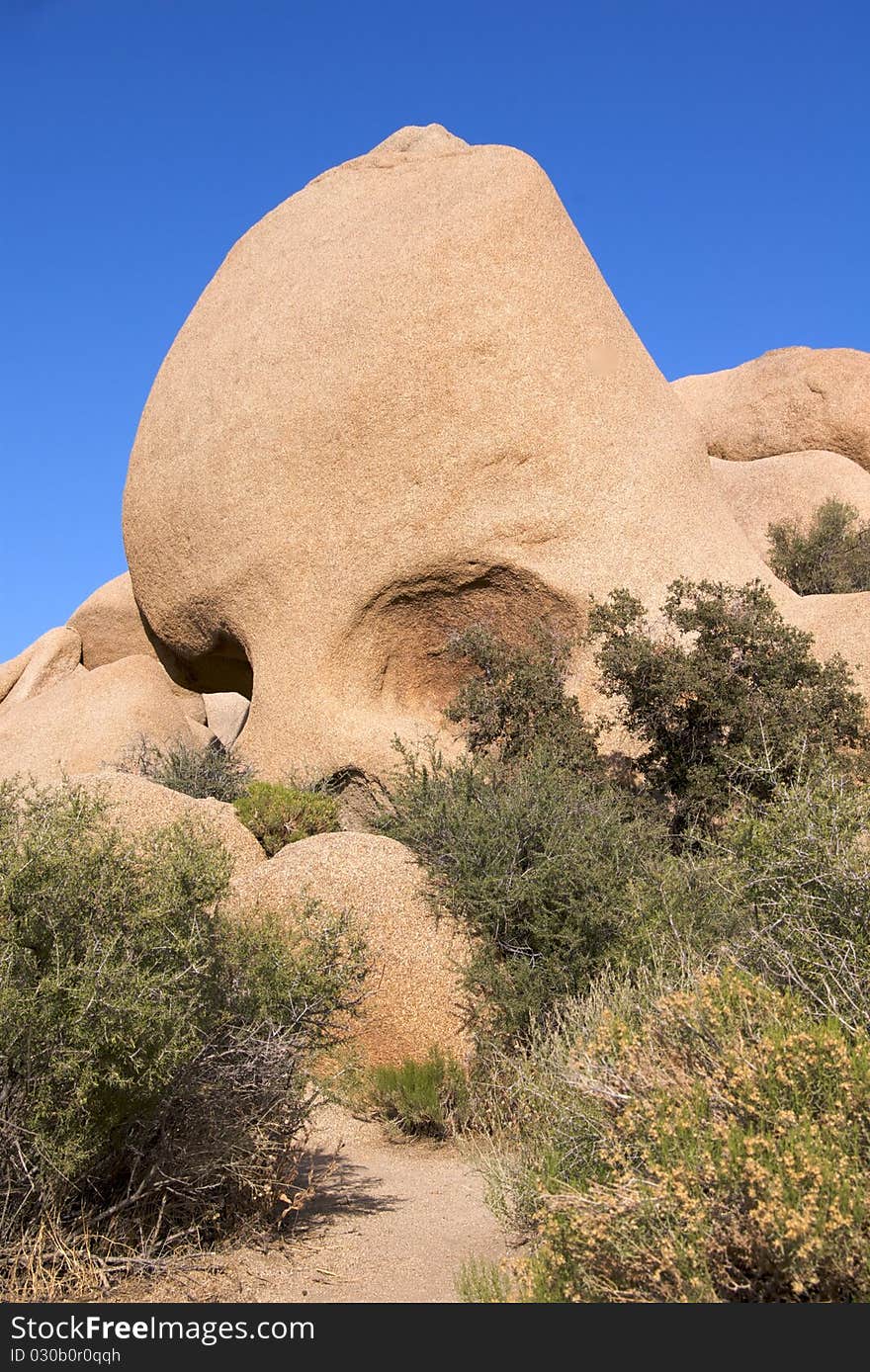 Joshua Tree National Park