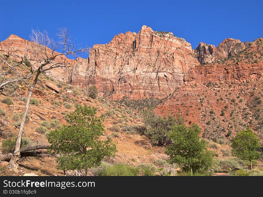 Colourful rock formations in Zion National Park, Utah's oldest and most visited national park. Colourful rock formations in Zion National Park, Utah's oldest and most visited national park.