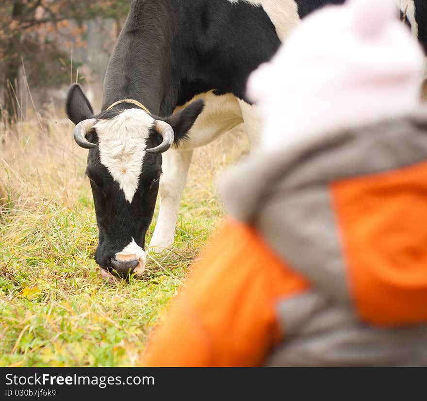 Young cheerful baby look at feeding cow in field