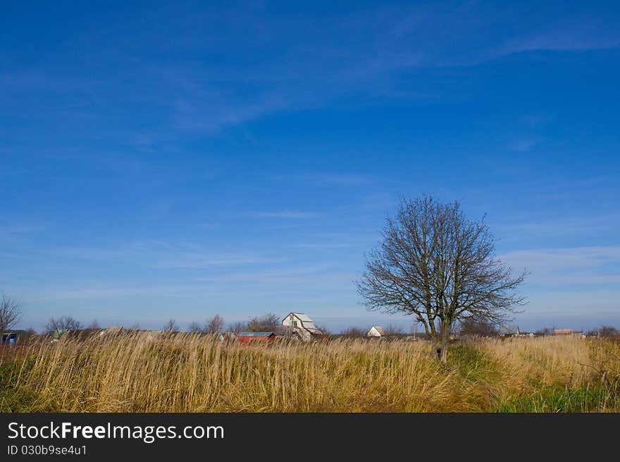 Pasture and blue sky. Nature composition. Pasture and blue sky. Nature composition.