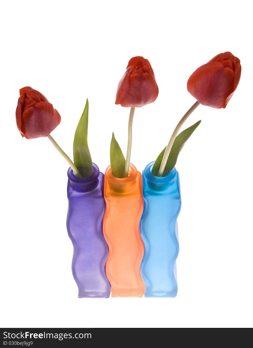 Colorful vasa and red tulips on white background