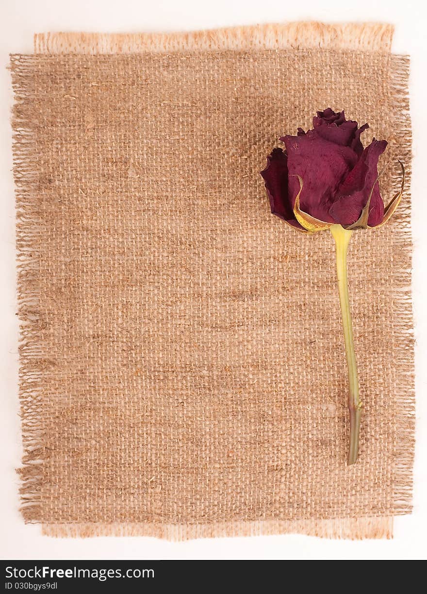 Rose on a serviette from a rough matter