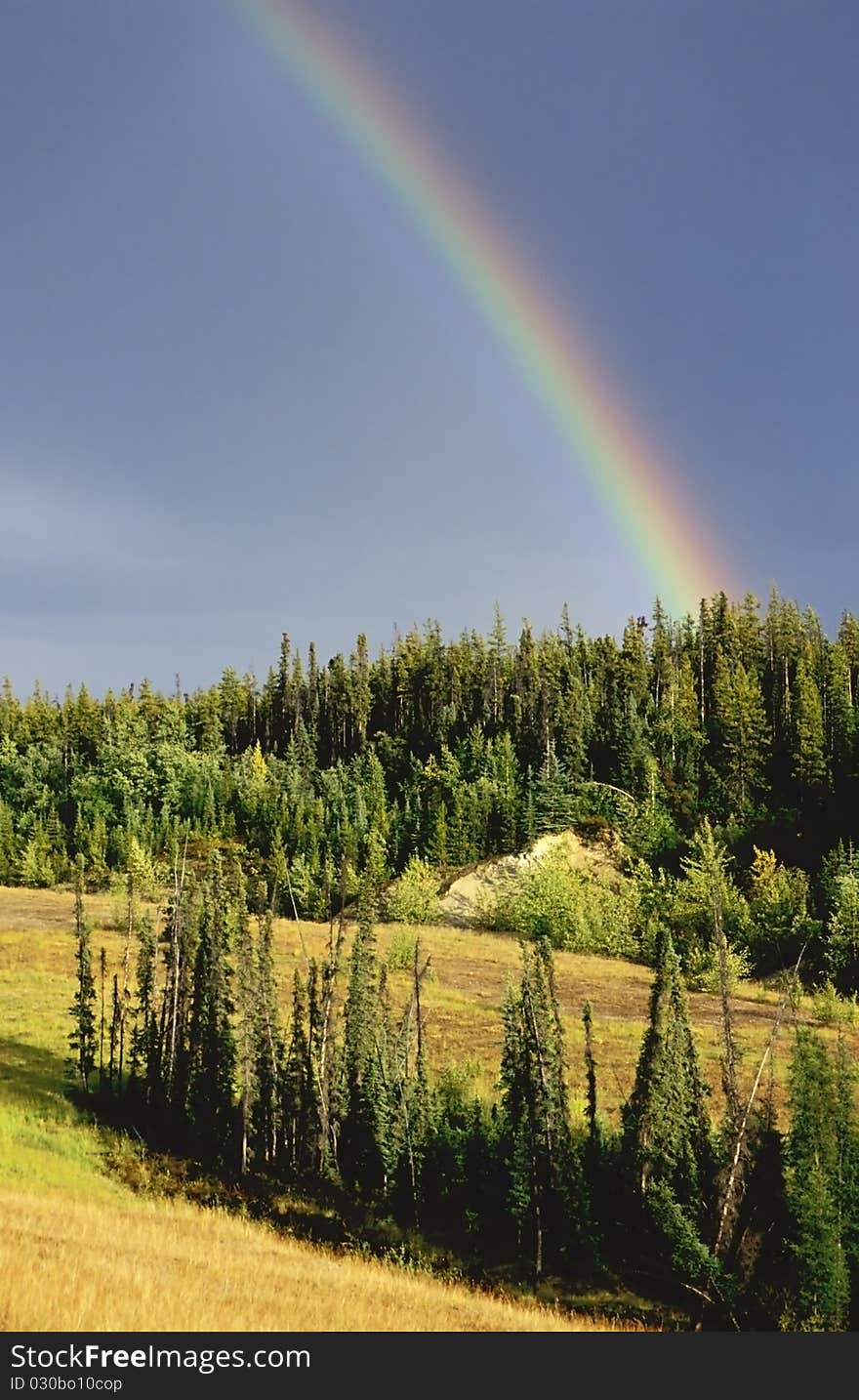 Canadian landscape