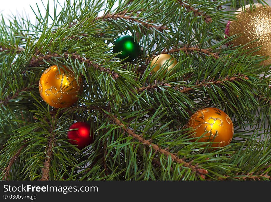 Christmas fir with decoration