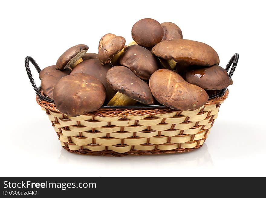 Basket of mushrooms on  white