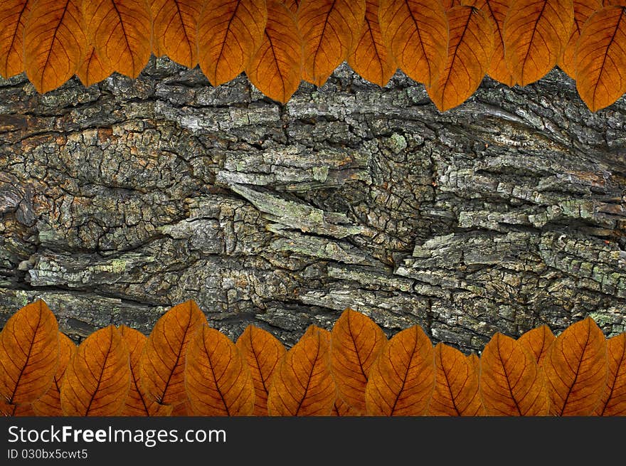 Brown Leafs On Wood Background